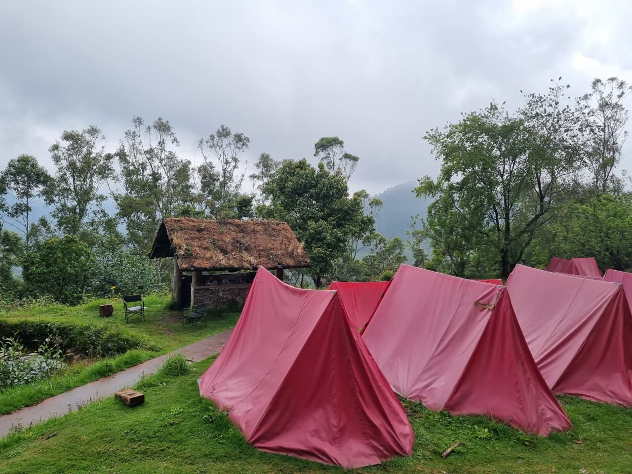 സഹ്യന്റെ മടിത്തട്ടിൽ ഒരു ദിവസം: മീശപ്പുലിമലയിലേക്കൊരു യാത്ര | Tectonic Tales
